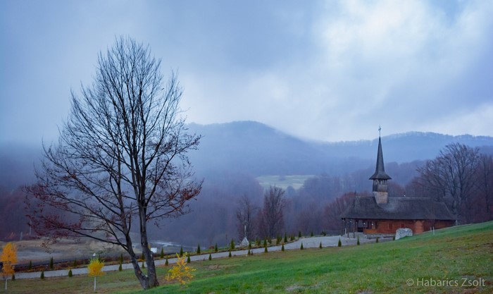 Wooden church on a misty hillside with a bare tree