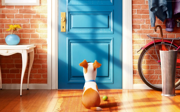 Max from The Secret Life of Pets at the door