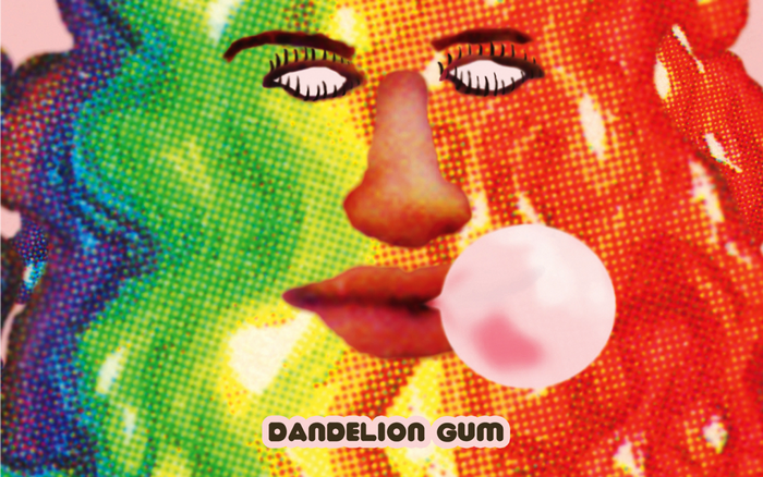 Dandelion Gum by Black Moth Super Rainbow album cover