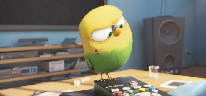 Budgie from The Secret Life of Pets