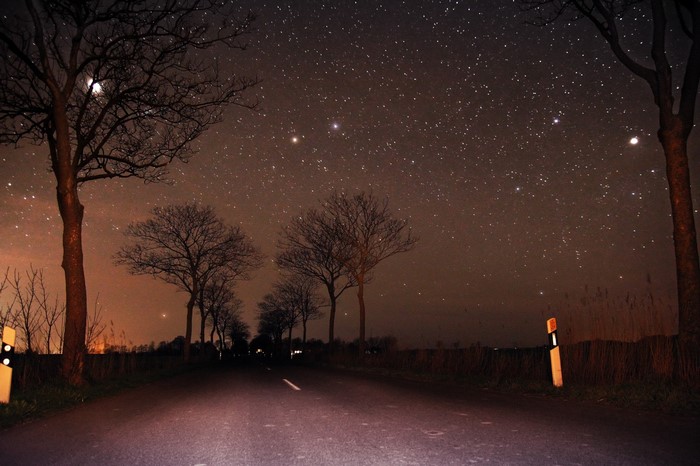 Road under starry sky with trees at night