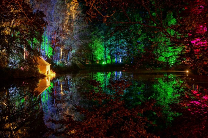 Forest lake illuminated by colorful lights at night with reflections