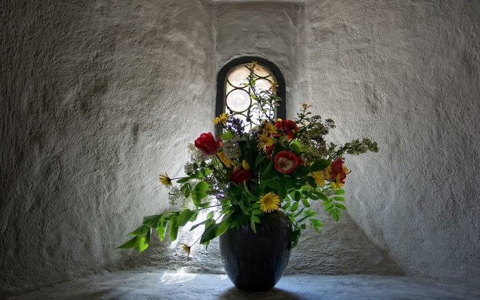 Bouquet of flowers in a vase by a window