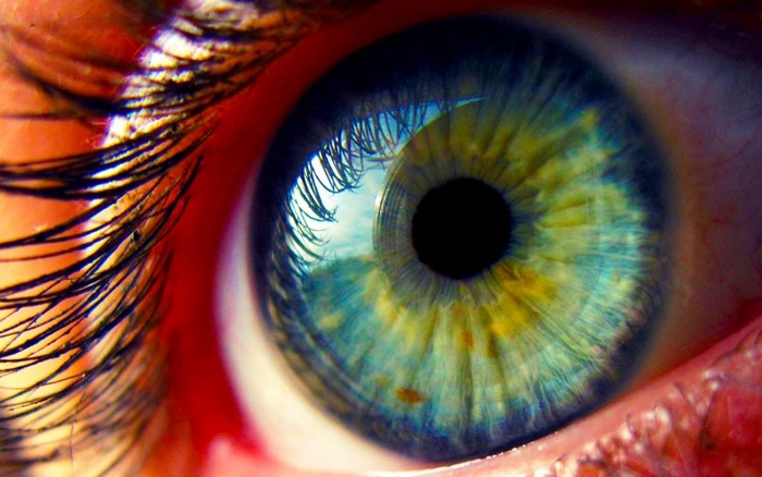 Extreme Macro Photography of a Human Eye