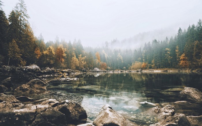Misty Autumn Forest Reflecting in a Calm Lake