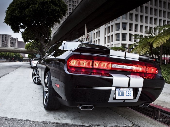 Black Dodge Challenger with White Stripes on Street