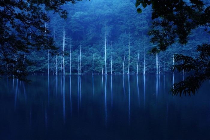 Blue forest lake with reflections at dawn