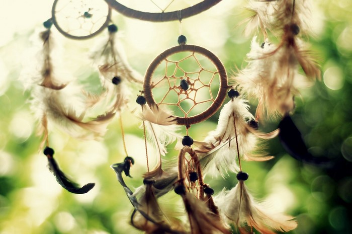 Dreamcatchers with feathers hanging outdoors