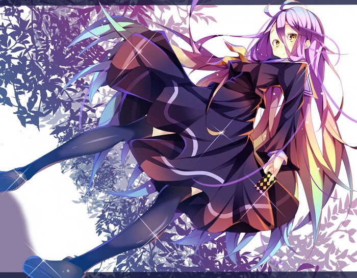 Shiro from No Game No Life