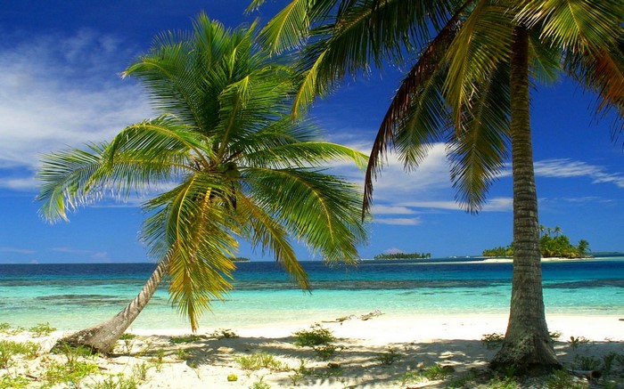 Tropical beach with palm trees and islands