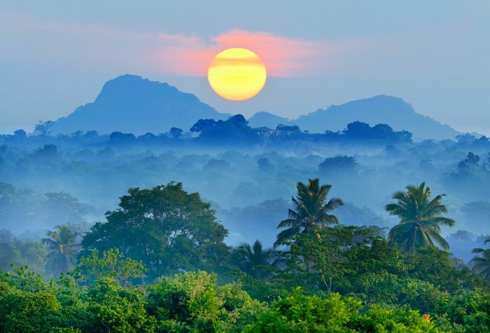 Sunrise over misty mountains and tropical forest