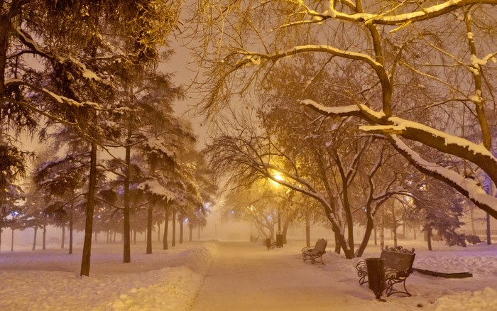 Snowy park path at night with benches and streetlights