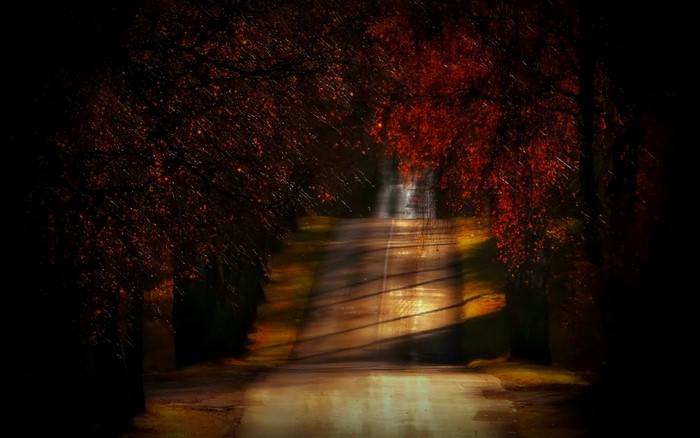 Sunlight filtering through autumn trees onto a road