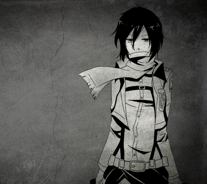 Mikasa Ackerman from Shingeki no Kyojin
