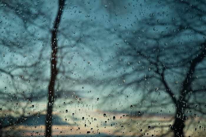 Raindrops on a window with bare trees in the background