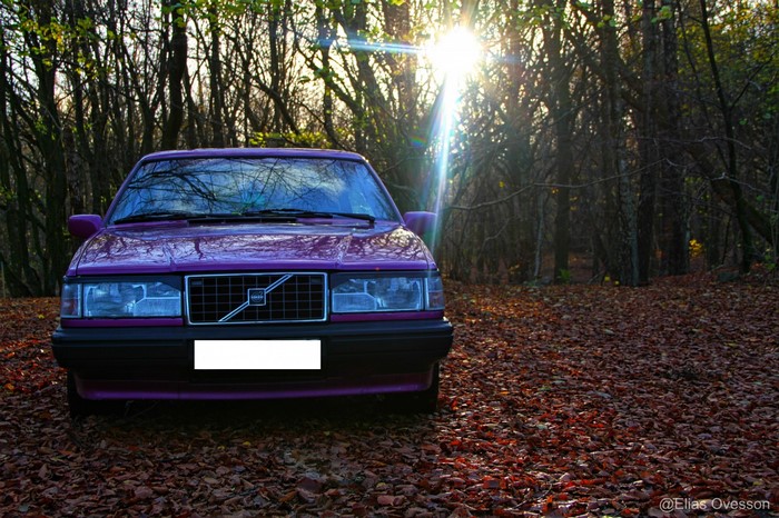 Purple Volvo 240 Series Sedan in Autumn Forest