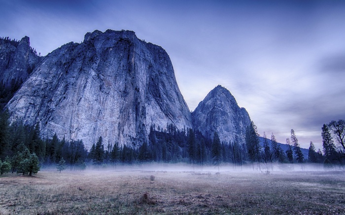 Misty valley with large mountains and pine trees