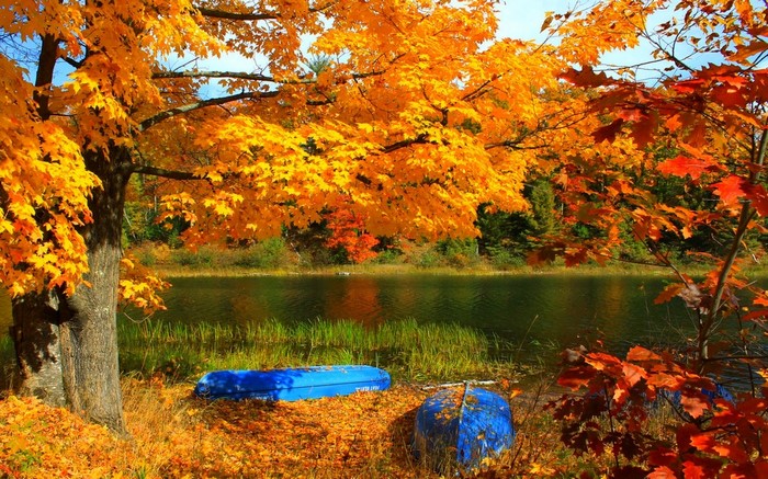Autumn lake with colorful trees and boats