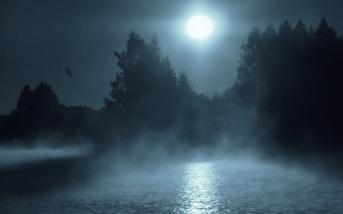 Moonlit lake with mist and trees, bird flying