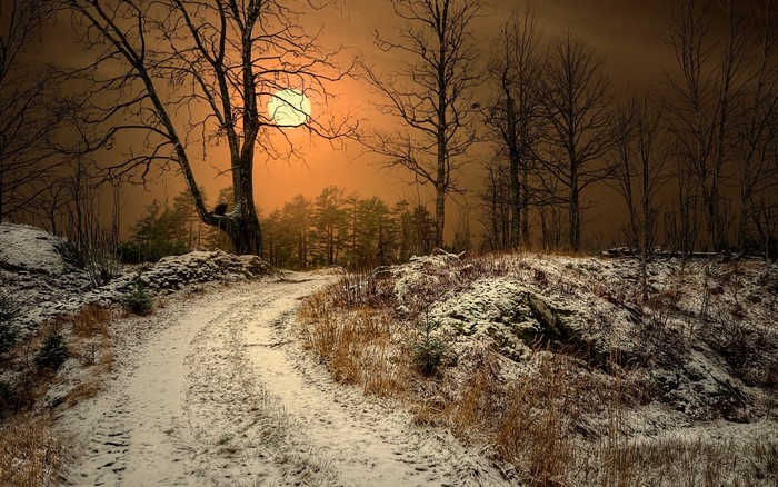 Winter landscape with a snowy road and trees at sunset