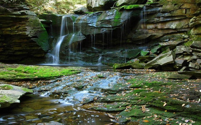 Mossy rocks and a waterfall in a forest