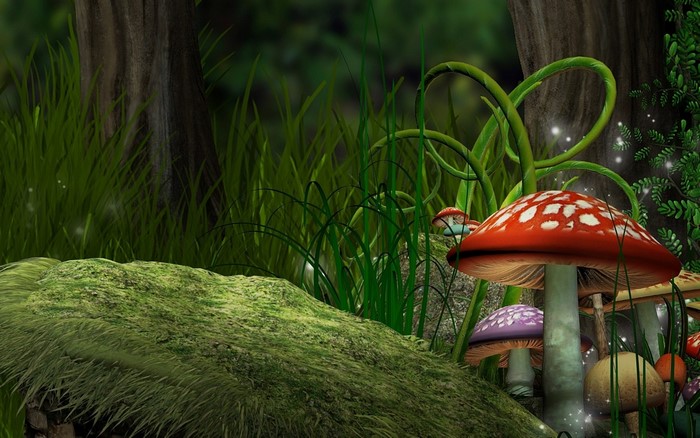 Magical forest with mushrooms and vines