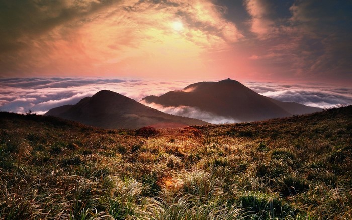 Mountain peaks above clouds at sunset with grassland foreground