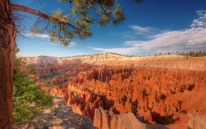 Bryce Canyon National Park Landscape