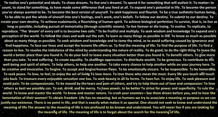 Motivational text about the meaning of life