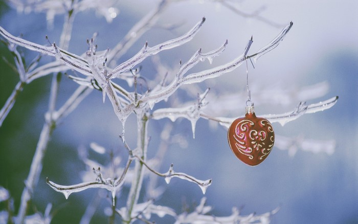 Red heart ornament hanging on icy tree branch in winter