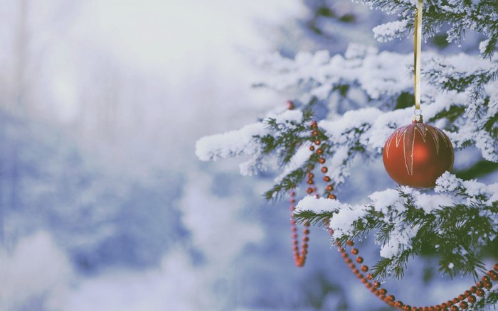 Snow-covered Christmas tree branch with red ornament