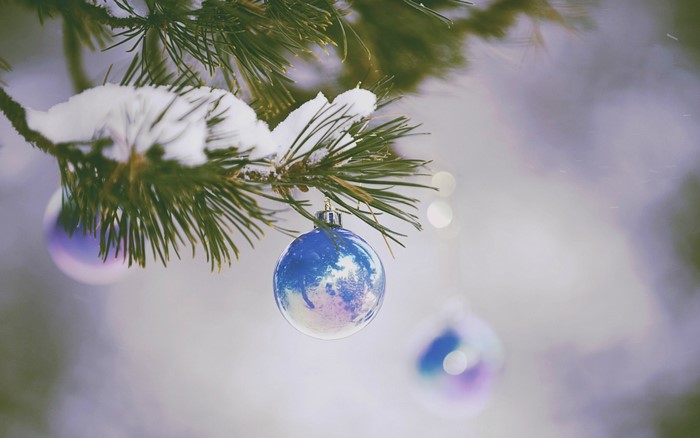 Snow-covered pine branch with Christmas ornaments