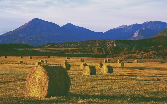 Hay bales in a field with mountains in the background