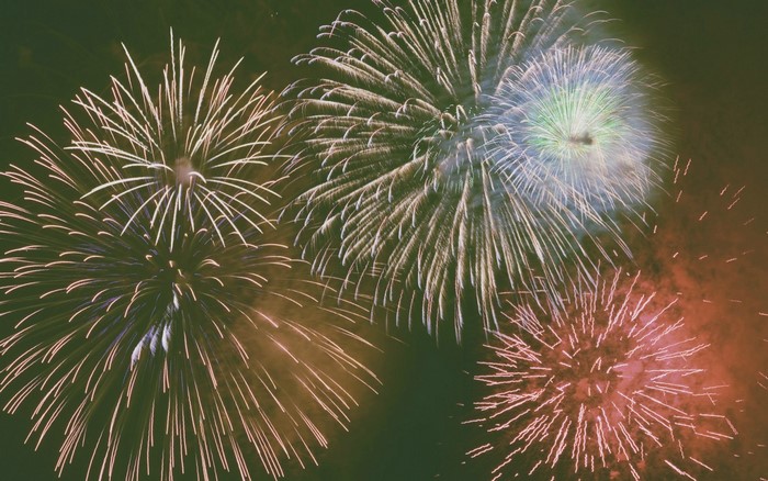 Fireworks exploding in the night sky