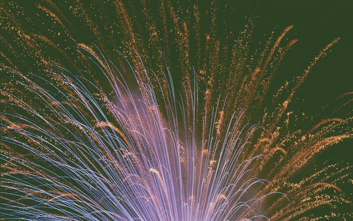Close up of fireworks exploding in the night sky
