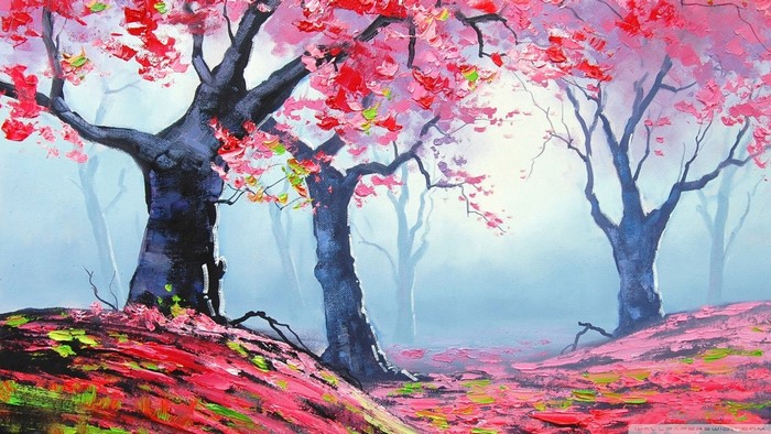 Pink Blossom Trees in a Misty Forest