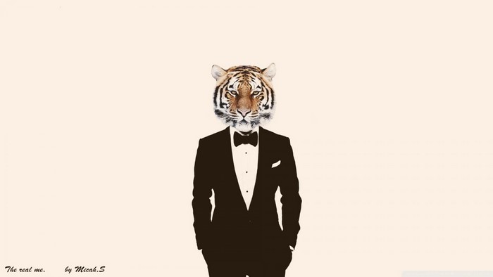 Tiger wearing a tuxedo, photo manipulation