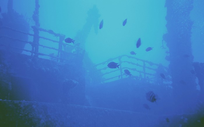 Underwater shipwreck with fish swimming around