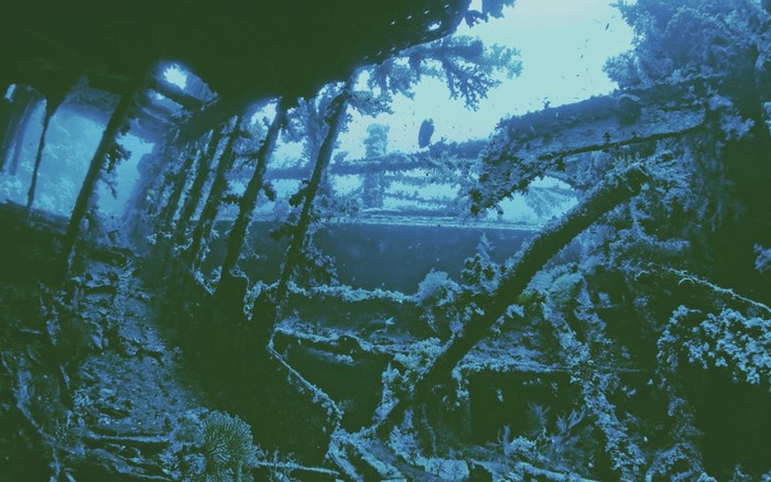 Underwater shipwreck with coral and fish