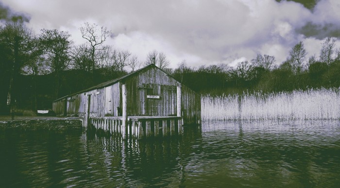 Wooden boathouse on a lake with reeds and trees
