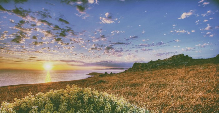 Sunset over a grassy hill and the sea