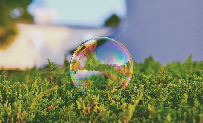 A bubble reflecting a house and trees on green bushes