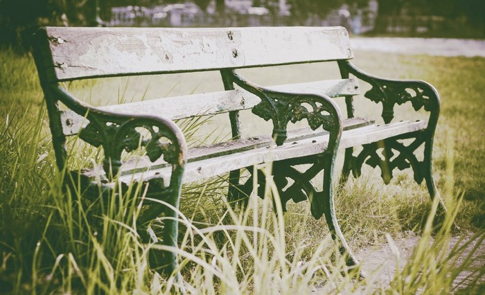 Old park bench in tall grass