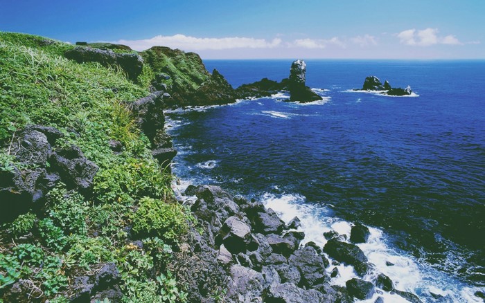 Rocky coast with green vegetation and blue sea