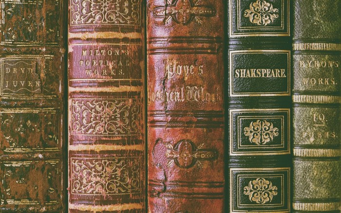 Vintage Leather Bound Classic Books Collection