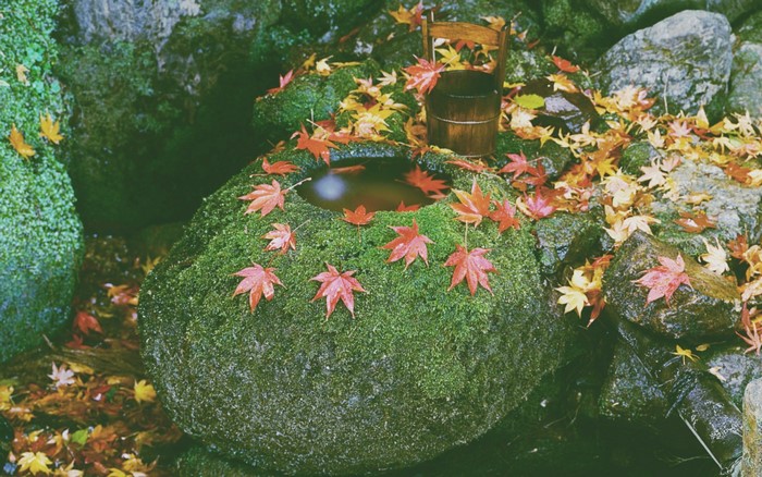 Mossy rock basin with autumn leaves and wooden bucket