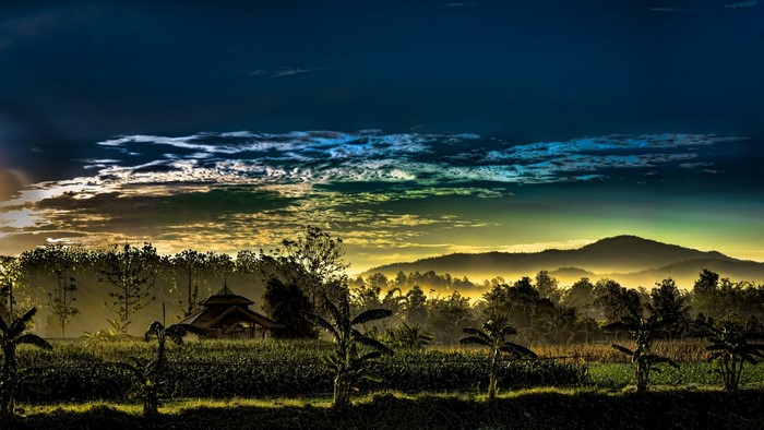 Misty mountains and trees at sunrise or sunset