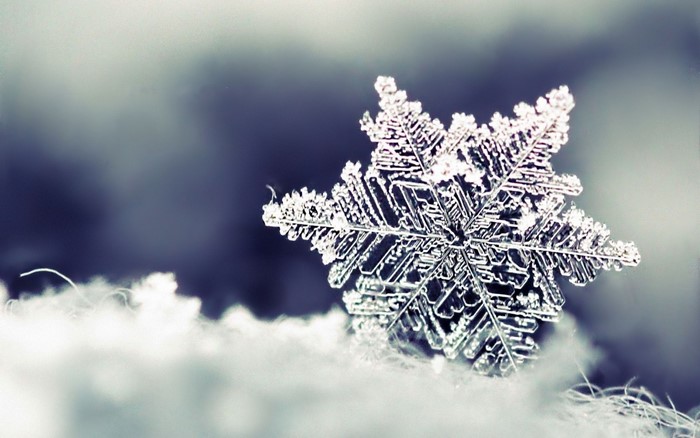 Close-up of a snowflake on snow