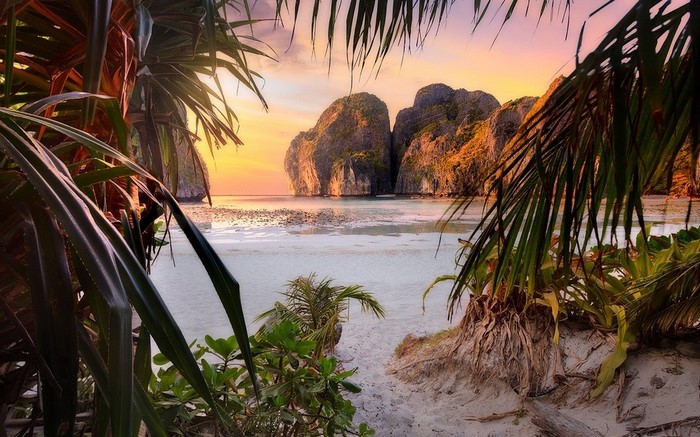 Tropical island beach at sunset with palm trees
