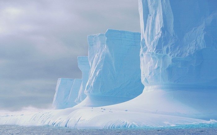 Majestic Icebergs in the Arctic Ocean